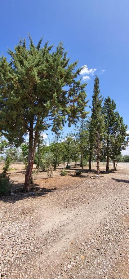 Hostal San Martín de Montalbán מראה חיצוני תמונה