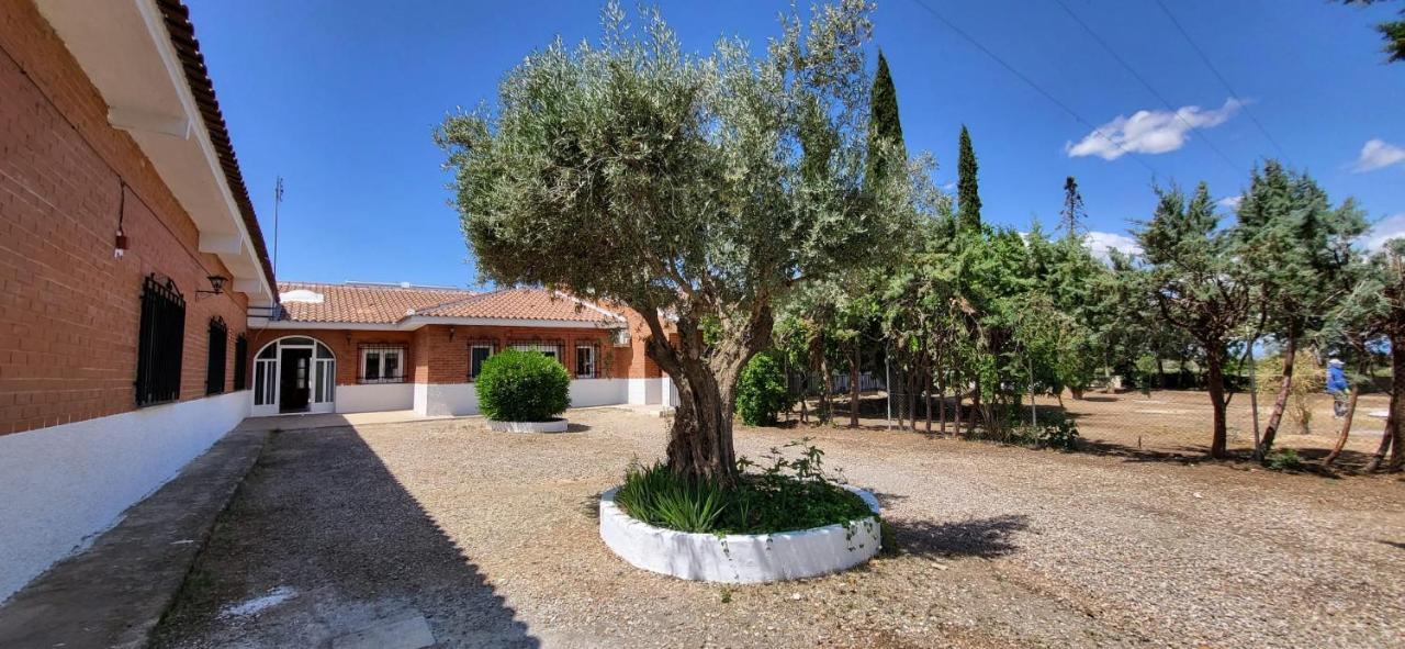 Hostal San Martín de Montalbán מראה חיצוני תמונה