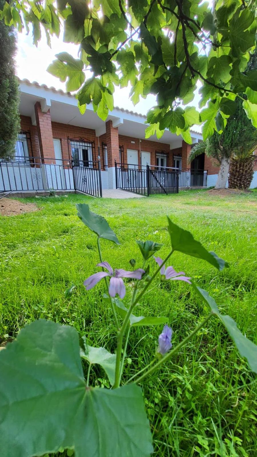 Hostal San Martín de Montalbán מראה חיצוני תמונה