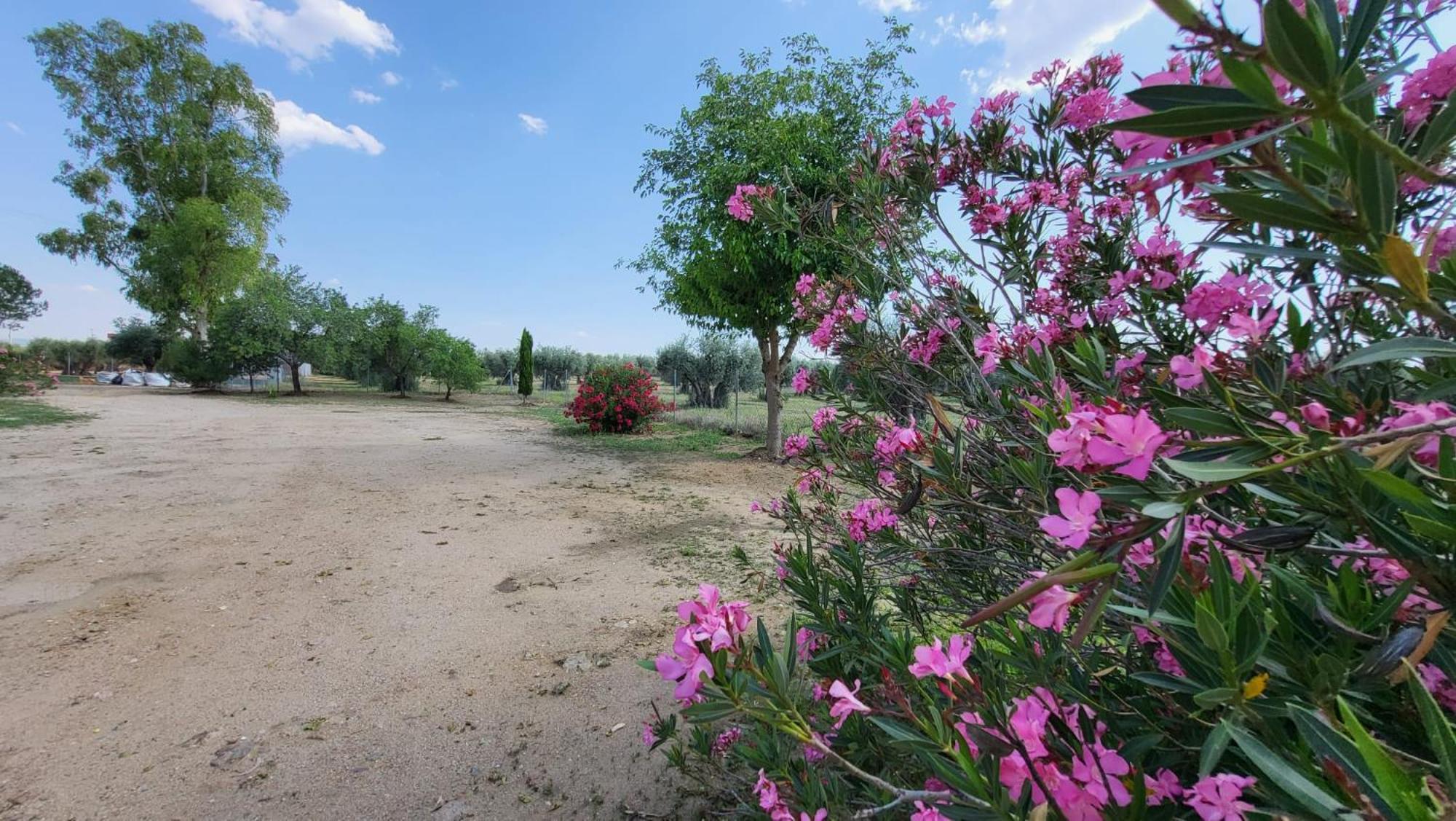 Hostal San Martín de Montalbán מראה חיצוני תמונה