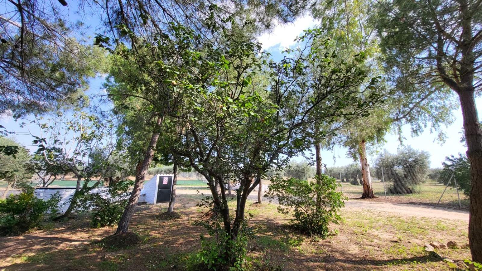 Hostal San Martín de Montalbán מראה חיצוני תמונה